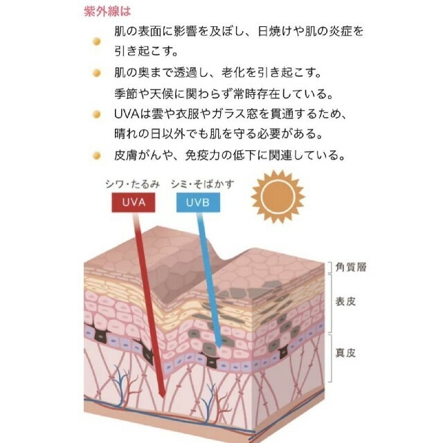 飲む日焼け止め☀湘南美容クリニックSBC✨ホワイトサプリ24粒☀美白 紫外線対策