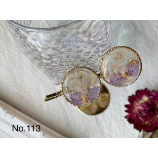 レジン　イヤリング　No.113(イヤリング)