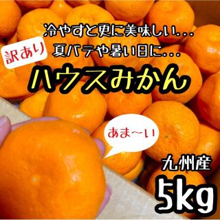 甘～い◎訳あり ハウスみかん 5kg (フルーツ)