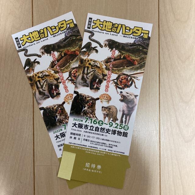 大地のハンター展 招待券2枚セット　大阪市立自然史博物館 チケットの施設利用券(美術館/博物館)の商品写真