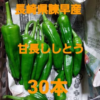 長崎県諫早産 甘長ししとう30本(野菜)