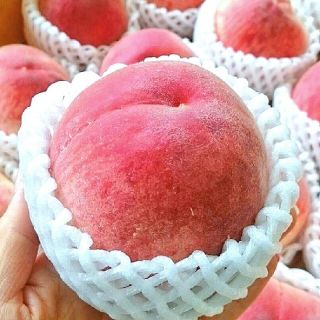 🍑限定２０箱《はなよめ》🍑(フルーツ)