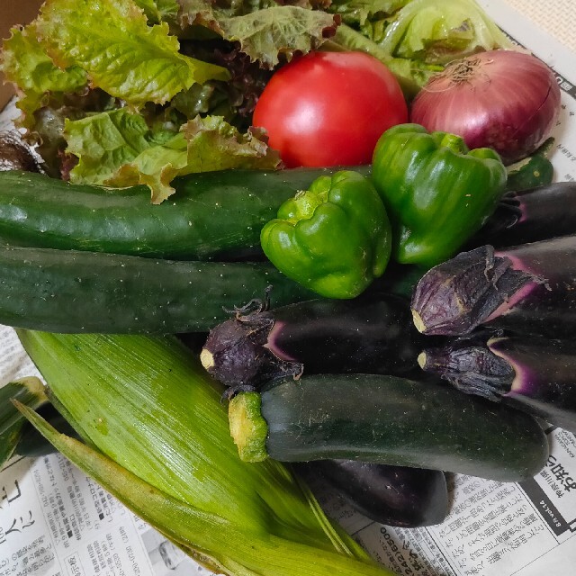おまかせ野菜詰め合わせ 60サイズ 食品/飲料/酒の食品(野菜)の商品写真