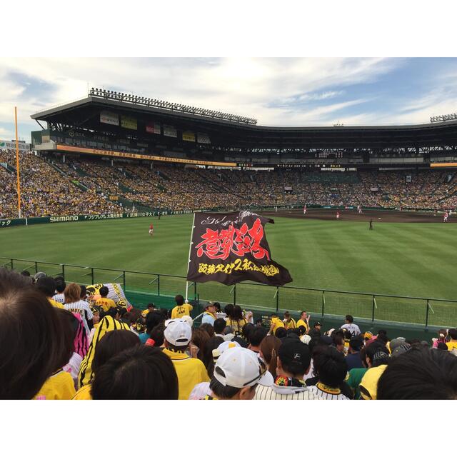 阪神タイガース(ハンシンタイガース)の甲子園7月17日阪神vs中日 ライトスタンドペアチケット チケットのスポーツ(野球)の商品写真