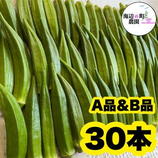 夏野菜【高知県産オクラ】A品&B品　30本　新鮮おくら産地直送　即購入OKです
