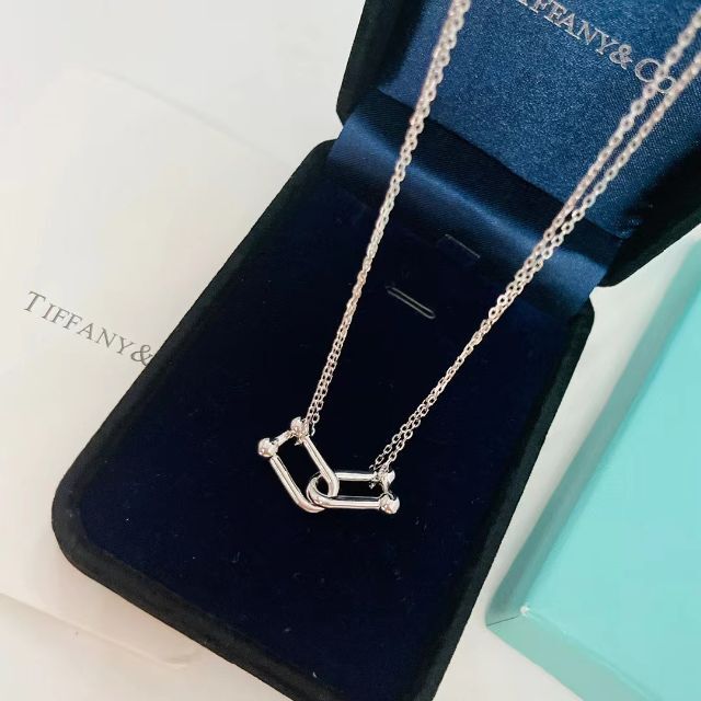 Tiffanyティファニー ハードウェア ダブルリンク ペンダント