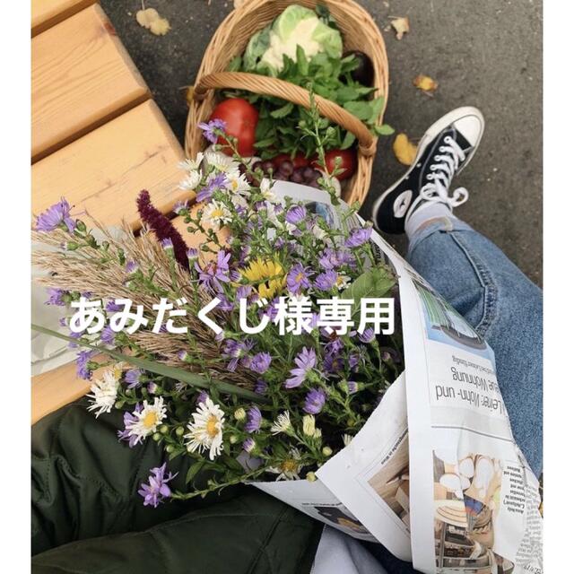誠実 あみだくじ様 専用出品 グッチ - osnaaug.ub.gov.mn
