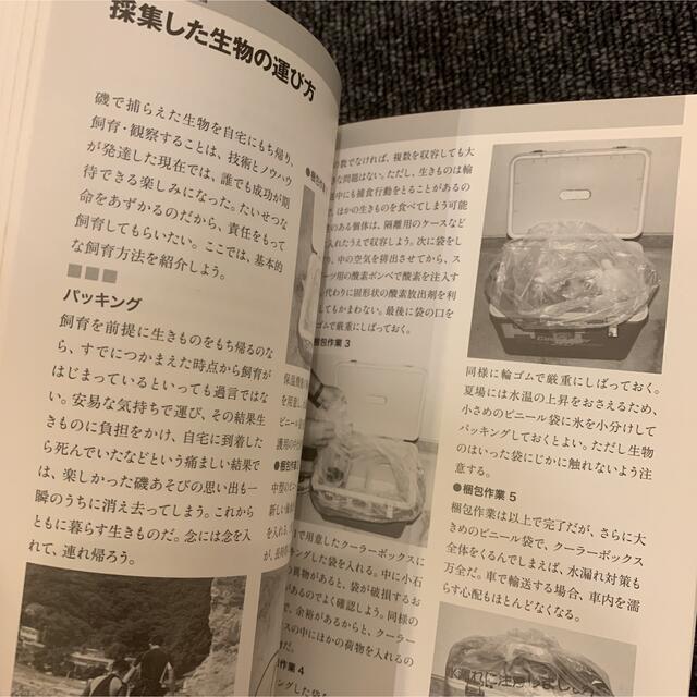 磯あそびハイパ－ガイドブック 海とあそぶ、自然がわかる、地球に生きる エンタメ/ホビーの本(趣味/スポーツ/実用)の商品写真