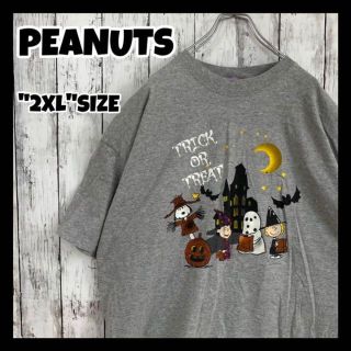 ピーナッツ(PEANUTS)のPEANUTS ピーナッツ　デカロゴ　プリント　スヌーピー　キャラT Tシャツ(Tシャツ/カットソー(半袖/袖なし))