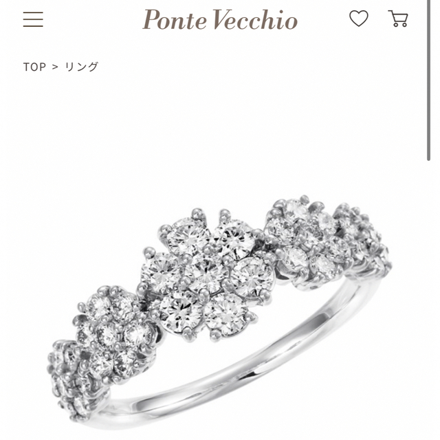 PonteVecchio(ポンテヴェキオ)のPonte Vecchio PURE PLATINUM 999 リング レディースのアクセサリー(リング(指輪))の商品写真