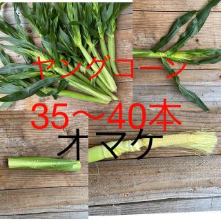 ヤングコーン　オマケ　はな様専用　80本(野菜)