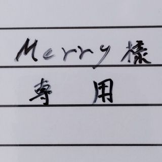 「Merry様　専用」　遊戯王　シールダス　値段交渉OK(その他)