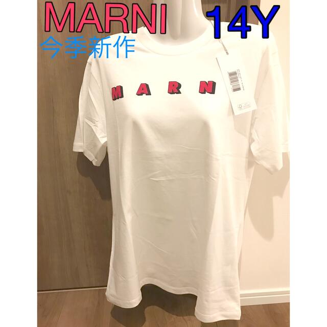 新品・未使用MARNIマルニ エンブロイダリーロゴTシャツ白44サイズ 新品・未使用MARNIマルニ エンブロイダリーロゴTシャツ白44サイズ