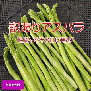 【訳あり】アスパラガス 1.5kg(野菜)