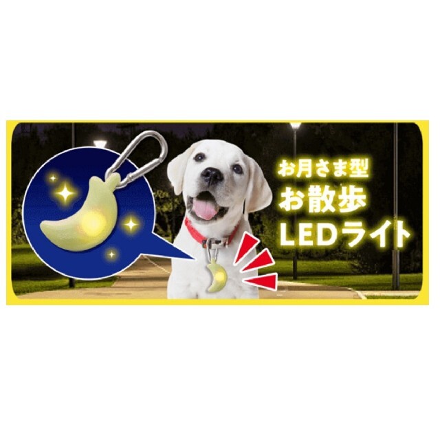 ペット用 お散歩LEDライト☆イエロー クリップ付 セーフティライト V