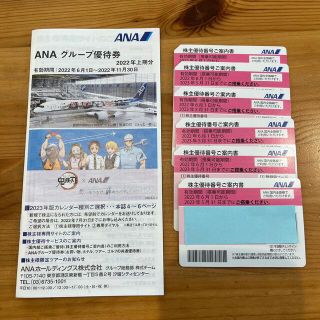 エーエヌエー(ゼンニッポンクウユ)(ANA(全日本空輸))のANA グループ優待券　株主優待券(その他)