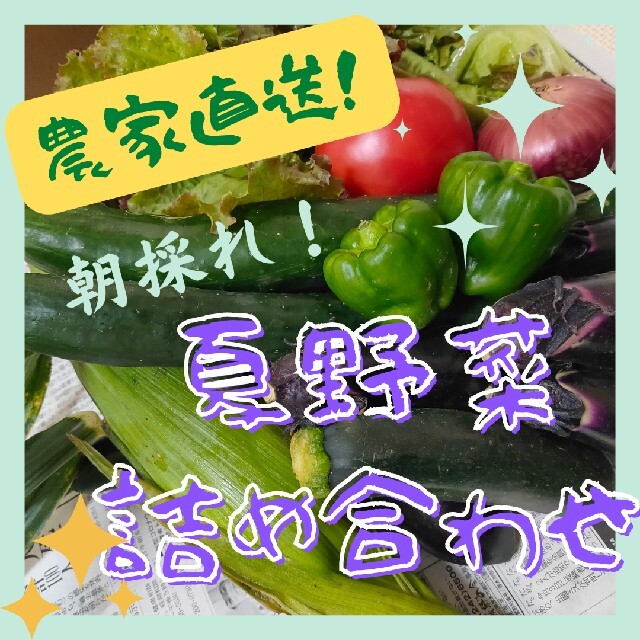 おまかせ野菜詰め合わせ 80サイズ 食品/飲料/酒の食品(野菜)の商品写真