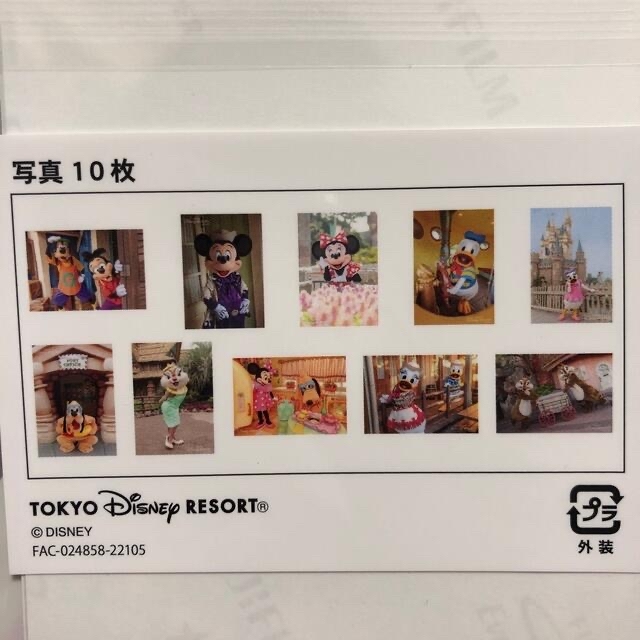 Disney(ディズニー)のディズニーリゾート フォト 10枚セット エンタメ/ホビーの美術品/アンティーク(写真)の商品写真