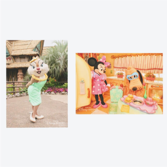 Disney(ディズニー)のディズニーリゾート フォト 10枚セット エンタメ/ホビーの美術品/アンティーク(写真)の商品写真