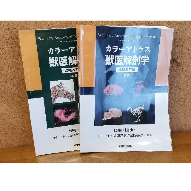 交換無料 カラーアトラス獣医解剖学 上巻 下巻セット 値下げ可能