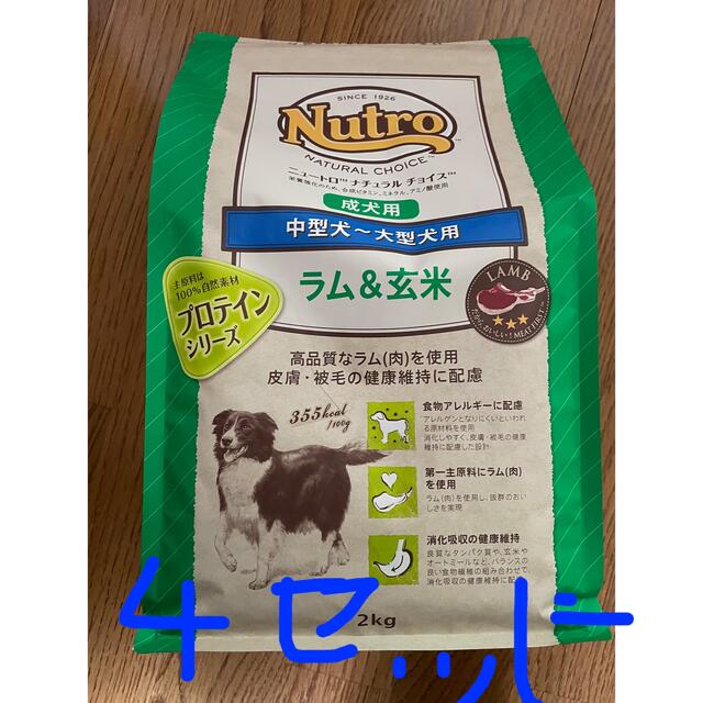 Nutro ナチュラルチョイス ラム&玄米 中~大型犬用 成犬用 17.5kg-