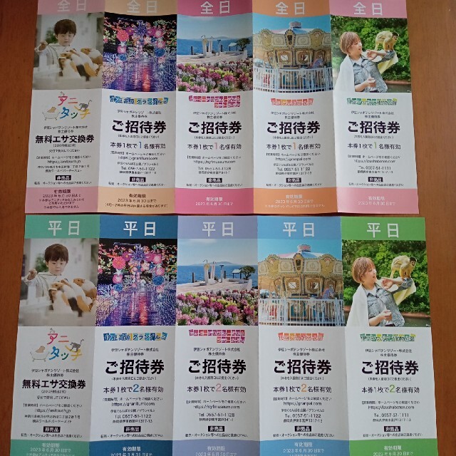 伊豆シャボテン公園　株主優待券 チケットの施設利用券(その他)の商品写真