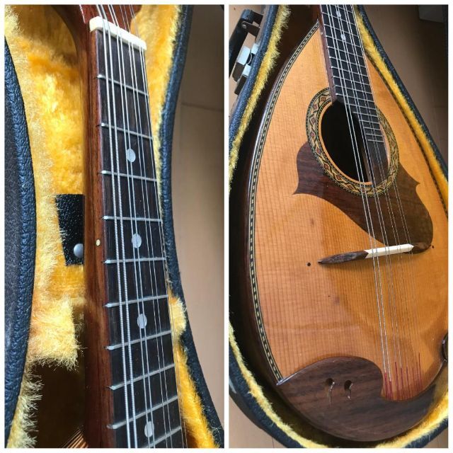 美品 SUZUKI マンドリン M-215 日本製 メンテ・音出し確認済み 12 楽器の弦楽器(マンドリン)の商品写真