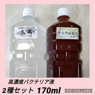 高濃度バクテリア液　お試しサイズ2種セット170ml(アクアリウム)