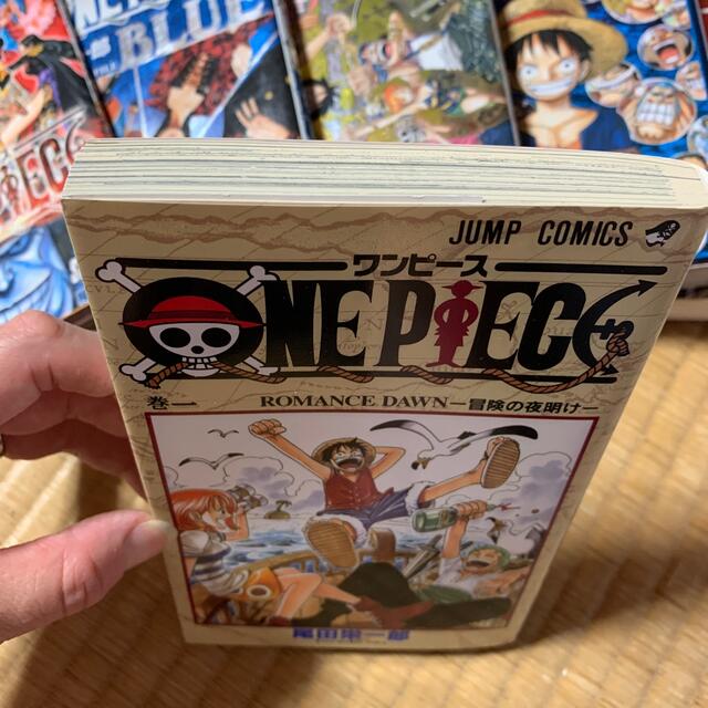 ONE PIECE(ワンピース)のjunjun様専用 エンタメ/ホビーの漫画(全巻セット)の商品写真