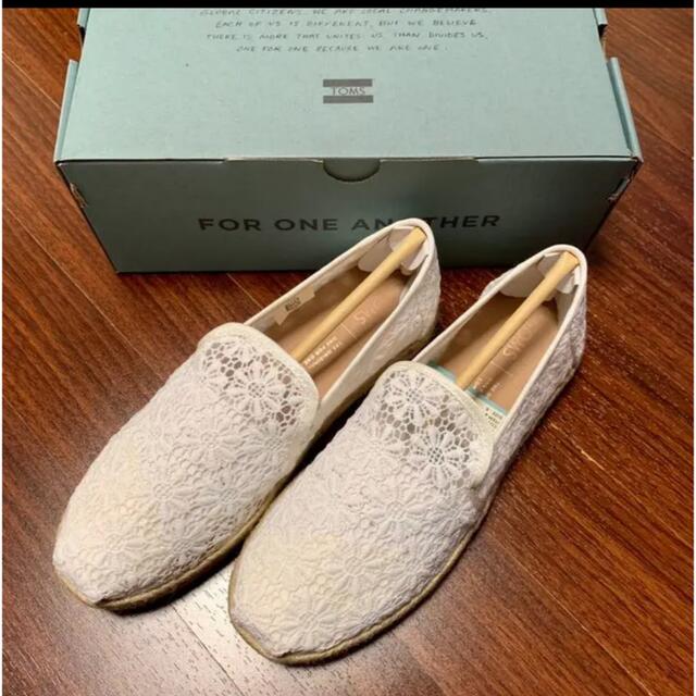 TOMS スリッポン  23.0