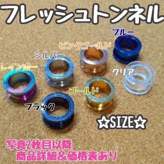 フレッシュトンネル ピアス 14G ゴールド(ピアス(片耳用))