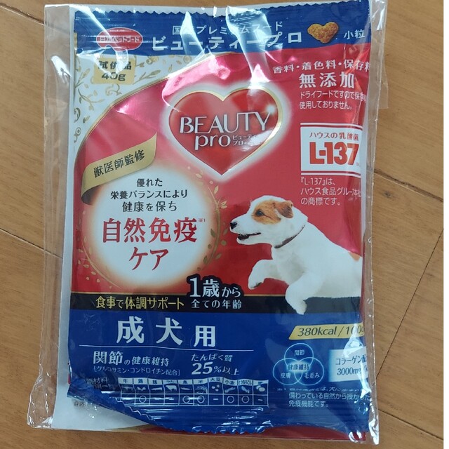 いぬの気持ち　付録　８点 その他のペット用品(犬)の商品写真