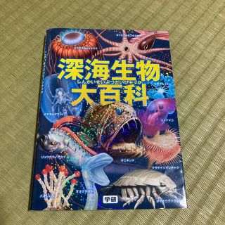 深海生物大百科(絵本/児童書)