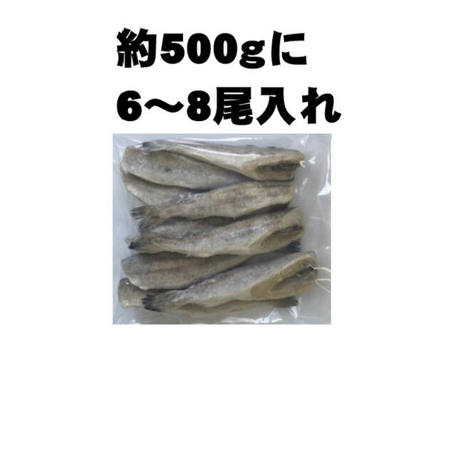 【数量限定！】北海道産　コマイ一夜干し　約500g（6〜8本入れ）　冷凍　 食品/飲料/酒の食品(魚介)の商品写真