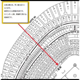 ヨミウリジャイアンツ(読売ジャイアンツ)の7月17日(日) 巨人vs広島 東京ドーム オーロラシートペア 角席連番 超良席(野球)