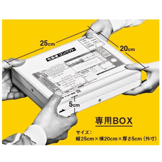 徳島県産 無農薬 地中海とまと シシリアンルージュ1.2kg（ヘタなし） 食品/飲料/酒の食品(野菜)の商品写真