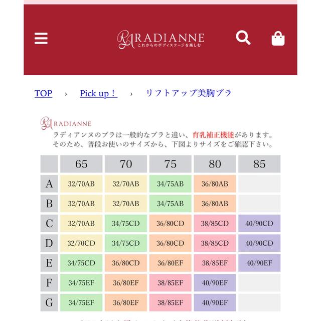 ラディアンヌ　ブラジャー　育乳　補正　下着 レディースの下着/アンダーウェア(ブラ)の商品写真