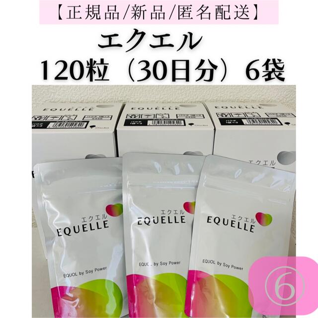 大塚製薬 エクエル パウチ120粒30日分 ×6袋 www.krzysztofbialy.com