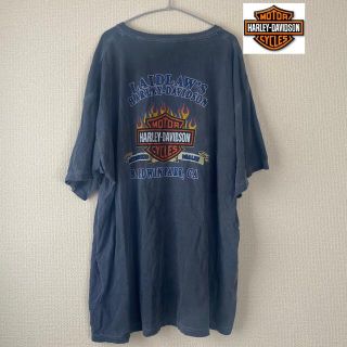 ハーレーダビッドソン(Harley Davidson)のハーレーダビッドソン 半袖Tシャツ　水色　青　くすみ　ロゴプリント　ビッグロゴ　(Tシャツ/カットソー(半袖/袖なし))