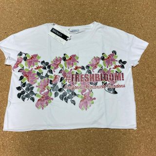 マックスアンドコー(Max & Co.)の新品MAX&Co.ショート丈スウェット(Tシャツ(半袖/袖なし))