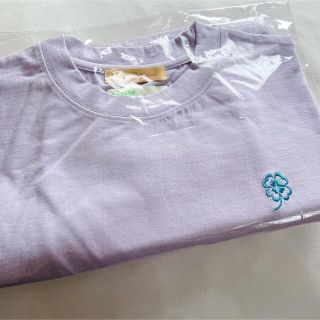 エイミーインザバッティーガール(Aymmy in the batty girls)の【新品】クロップドTシャツ　Dear sisterhood(Tシャツ(半袖/袖なし))