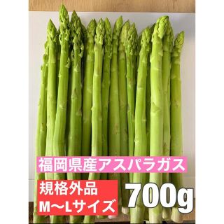 福岡県産アスパラガス 規格外品MLサイズ 700g(野菜)