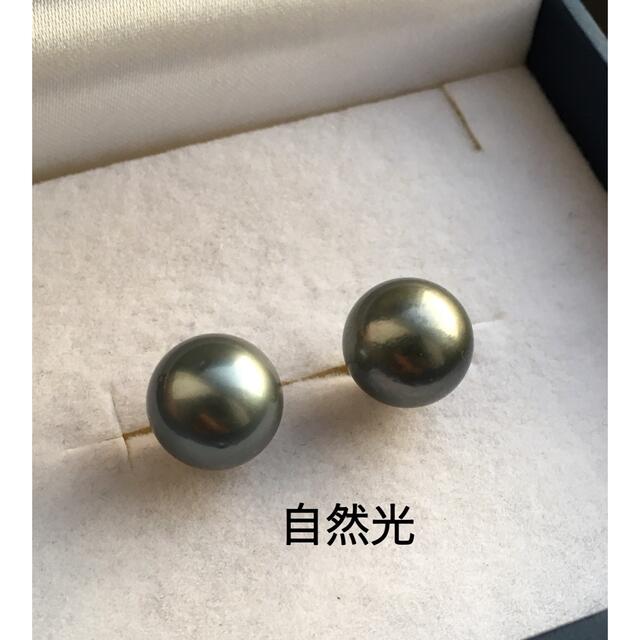 11mm大粒黒蝶真珠 タヒチブラックパール直結ピアス K14WG | www.fk ...