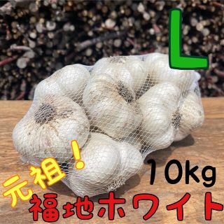 土付き　福地村産　福地ホワイト　半乾燥にんにく　10kg 青森県産　夏坂ふぁーむ(野菜)