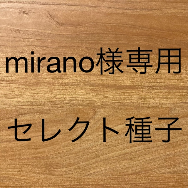 mirano様専用　セレクト種子　4袋 食品/飲料/酒の食品(野菜)の商品写真
