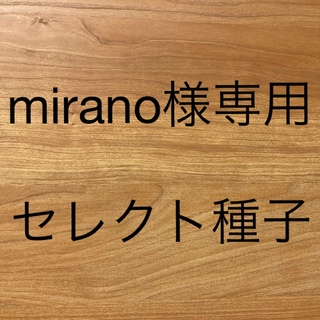 mirano様専用　セレクト種子　4袋(野菜)