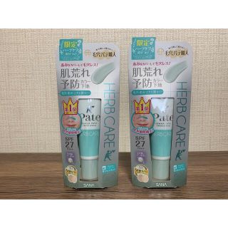 【新品】サナ 毛穴パテ職人 スムースカラーベース ハーブ 化粧下地 22g×2(化粧下地)