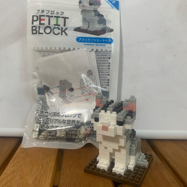 プチブロック アメリカンショートヘア 猫 その他のペット用品(猫)の商品写真