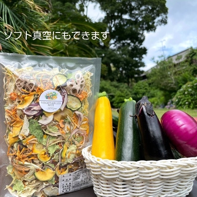 野菜たっぷり生活 10種類の乾燥野菜MIX 100g×1袋 簡単お手軽超便利 食品/飲料/酒の食品(野菜)の商品写真