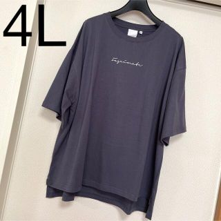 新品未使用タグ付き 4Lサイズ USAコットン Tシャツ レディース大きいサイズ(Tシャツ(半袖/袖なし))